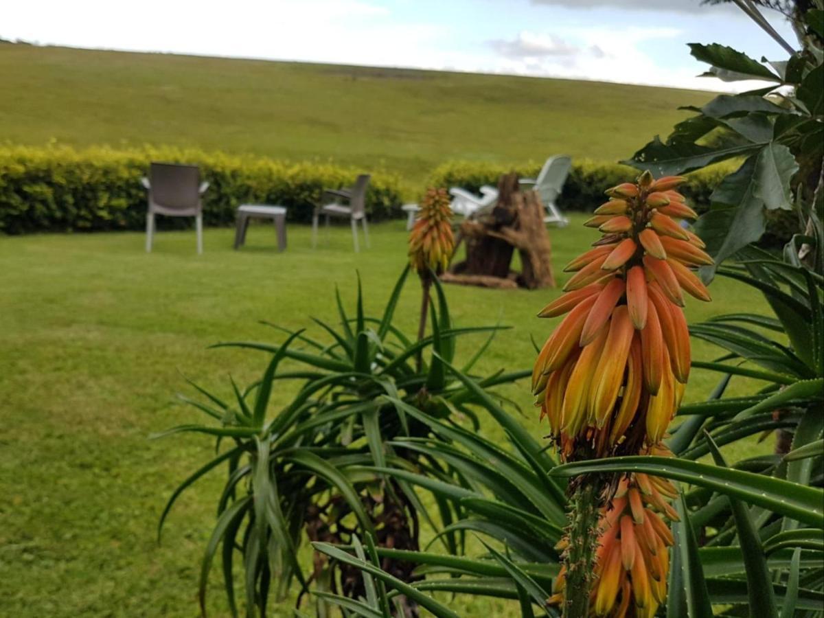 Paradise View Guesthouse Graskop Extérieur photo