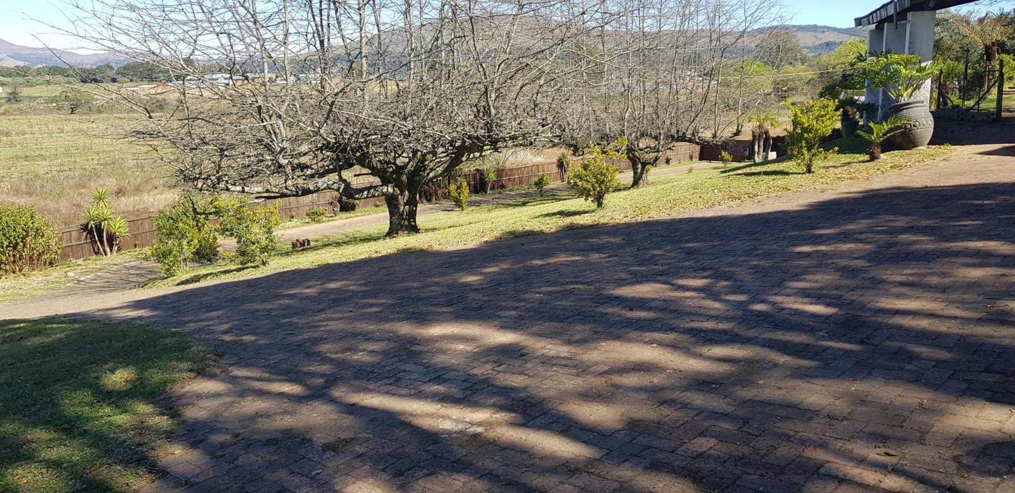 Paradise View Guesthouse Graskop Extérieur photo